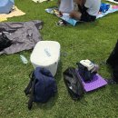 한평 | 2025 인천 펜타포트 후기