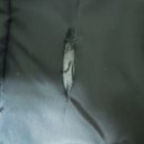 유경세탁소 이미지