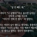 포항시남구48 이미지