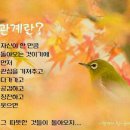 신례1리 네이버블로그