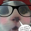 윤클로젯
