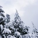 분당미켈란치과의원 이미지