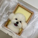 쪼식이 | [테디펫 펠트] 비숑 양모펠트 액자 제작
