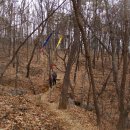 안곡초등학교 이미지