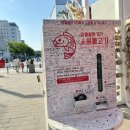 남대천강릉교밑 이미지