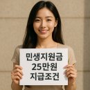 서민세탁소 | [2025년] 민생지원금 25만원 지급조건 총정리