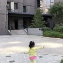 참새약꾹