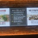 설화215 이미지
