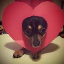 더짐 | 광주 풍암동 헬스장 PT 추천 더매스짐 방문 후기