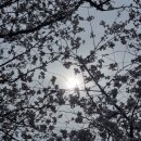 장수물공원 이미지