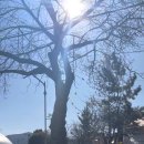 천주로1170번길 이미지