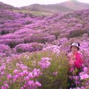 합천황매산펜션 이미지