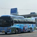 별빛물결시티투어 이미지