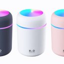 씨에스타펜션 이미지