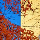 우림세탁소 이미지