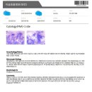 이솜 동물병원 이미지