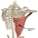 리라이프 휘트니스 이미지