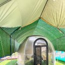 스타키즈 이미지