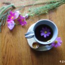 노고지리 이미지