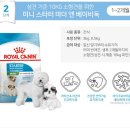 우리집 댕댕이 이미지