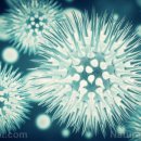 새로운 코로나 변이 미국에서 확산 이미지