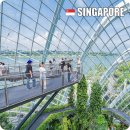 바이25(BUY25) | 싱가포르 가든스바이더베이 입장권 시간 티켓 가격