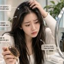 디와이미용재료