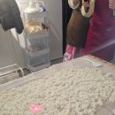 월광디테일 이미지