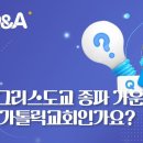 [19회] 💜 많은 그리스도교 종파 가운데 왜 꼭 가톨릭교회인가요? 이미지