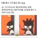 꽃잎하나 이미지