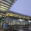 롯데리아내수점 | 인천-오사카 피치항공 체크인 및 탑승 후기 인천공항 제1터미널 푸드코트 먹거리 탑승동 위치