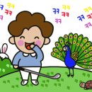 비앤비골프 이미지