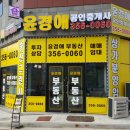 노랑공인중개사사무소 이미지