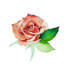 투썸플레이스 구미안가고택점 이미지