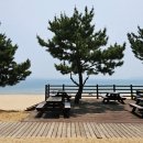 신지명사십리해수욕장 | 완도 가볼만한곳 신지 명사십리해수욕장 몸짱해변