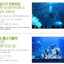 매력아쿠아수족관