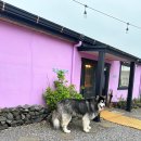 레프트핸더 스테이 이미지