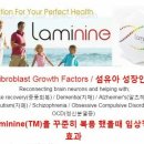 라미팜 네이버블로그