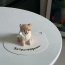 왈테이블 이미지