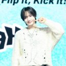 동화케이스 이미지