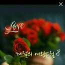 수요일 Daum카페