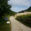 강림면310 | 영월 배향산