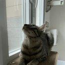 전주동물병원 이미지