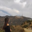 할리우드 이미지