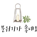 곶자왈거문오름