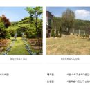 사임당로19길 64-14 이미지