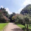 연조공원 이미지