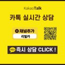 장기 | 카니발 장기렌트 후기! 하이브리드 9인승 무보증 빠른출고