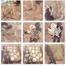 조경기능사(야간) 이미지