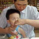 소나무집 이미지